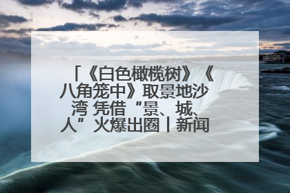 《白色橄榄树》《八角笼中》取景地沙湾 凭借“景、城、人”火爆出圈丨新闻发布最前线
