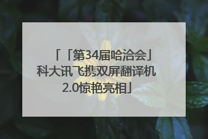 「第34届哈洽会」科大讯飞携双屏翻译机2.0惊艳亮相