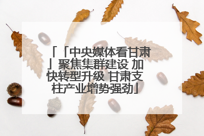 「中央媒体看甘肃」聚焦集群建设 加快转型升级 甘肃支柱产业增势强劲