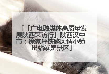 「广电融媒体高质量发展陕西采访行」陕西汉中市：徐家坪铁路风情小镇 出站就是景区