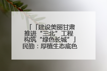 「建设美丽甘肃 推进“三北”工程 构筑“绿色长城”」民勤：厚植生态底色 筑牢绿色屏障