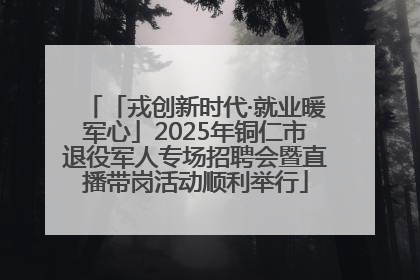 「戎创新时代·就业暖军心」2025年铜仁市退役军人专场招聘会暨直播带岗活动顺利举行