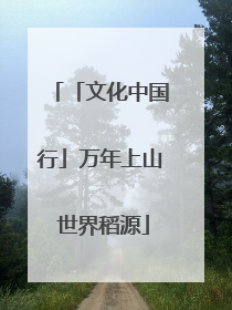 「文化中国行」万年上山 世界稻源