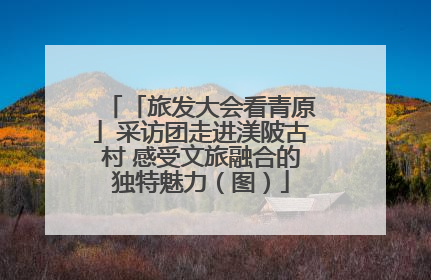 「旅发大会看青原」采访团走进渼陂古村 感受文旅融合的独特魅力（图）