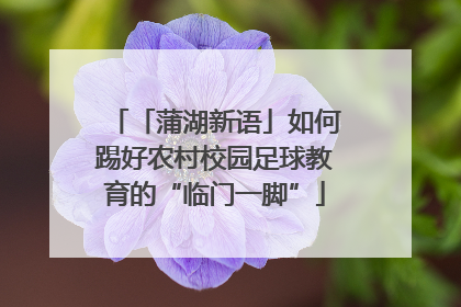 「蒲湖新语」如何踢好农村校园足球教育的“临门一脚”