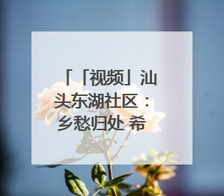 「视频」汕头东湖社区：乡愁归处 希望新生｜大美岭南·百村焕新记