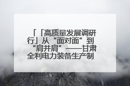 「高质量发展调研行」从“面对面”到“肩并肩”——甘肃全利电力装备生产制造项目一线见闻