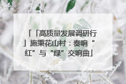 「高质量发展调研行」施秉花山村：奏响“红”与“绿”交响曲