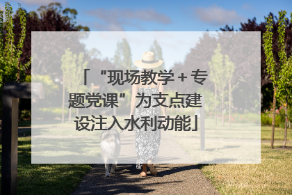 “现场教学＋专题党课”为支点建设注入水利动能
