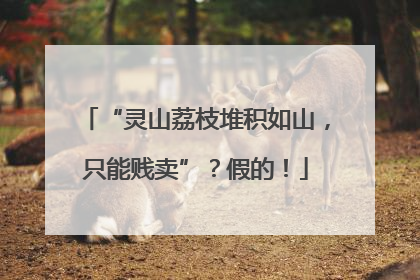 “灵山荔枝堆积如山，只能贱卖”？假的！