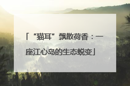 “猫耳”飘散荷香：一座江心岛的生态蜕变