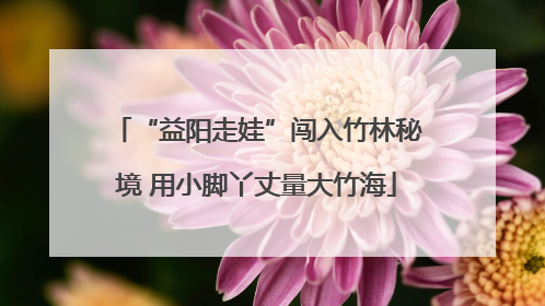 “益阳走娃”闯入竹林秘境 用小脚丫丈量大竹海