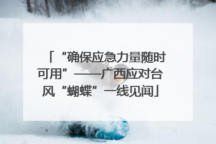 “确保应急力量随时可用”——广西应对台风“蝴蝶”一线见闻