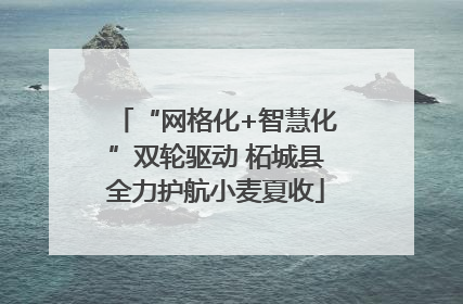 “网格化+智慧化”双轮驱动 柘城县全力护航小麦夏收