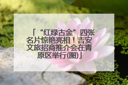 “红绿古金”四张名片惊艳亮相！吉安文旅招商推介会在青原区举行(图)