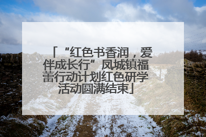 “红色书香润，爱伴成长行”凤城镇福蕾行动计划红色研学活动圆满结束