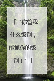 “你管我什么级别，能抓你的级别！”