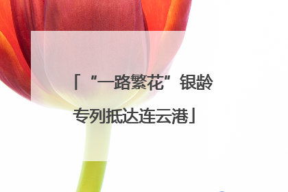 “一路繁花”银龄专列抵达连云港