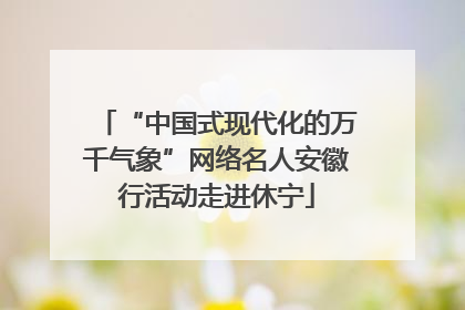 “中国式现代化的万千气象”网络名人安徽行活动走进休宁