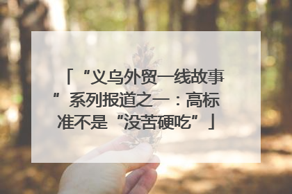“义乌外贸一线故事”系列报道之一：高标准不是“没苦硬吃”