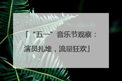 “五一”音乐节观察：演员扎堆，流量狂欢