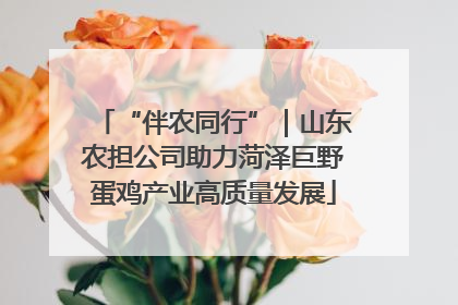 “伴农同行”｜山东农担公司助力菏泽巨野蛋鸡产业高质量发展