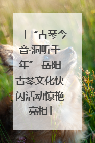 “古琴今音·洞听千年” 岳阳古琴文化快闪活动惊艳亮相