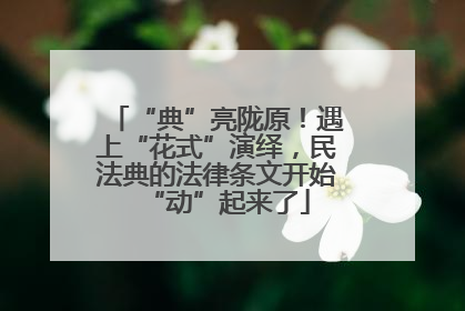 “典”亮陇原！遇上“花式”演绎，民法典的法律条文开始“动”起来了