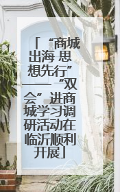 “商城出海 思想先行”——“双会”进商城学习调研活动在临沂顺利开展