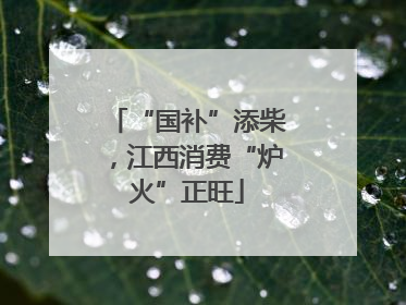 “国补”添柴，江西消费“炉火”正旺