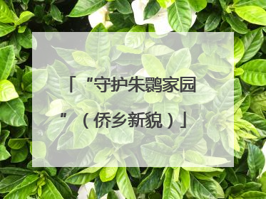 “守护朱鹮家园”（侨乡新貌）