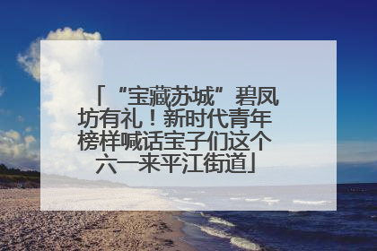 “宝藏苏城”碧凤坊有礼！新时代青年榜样喊话宝子们这个六一来平江街道