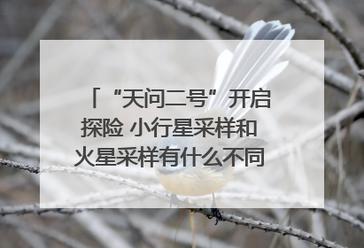 “天问二号”开启探险 小行星采样和火星采样有什么不同？｜科技观察