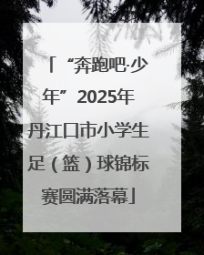 “奔跑吧·少年”2025年丹江口市小学生足（篮）球锦标赛圆满落幕