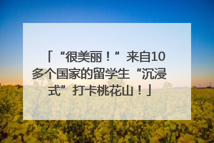 “很美丽！”来自10多个国家的留学生“沉浸式”打卡桃花山！