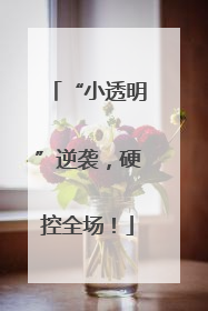 “小透明”逆袭，硬控全场！