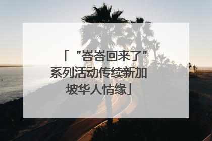 “峇峇回来了”系列活动传续新加坡华人情缘