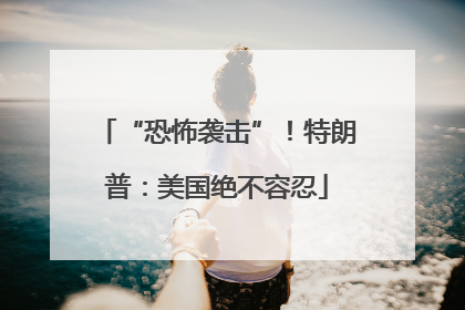 “恐怖袭击”！特朗普：美国绝不容忍