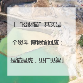 “招财猫”其实是一个熨斗 博物馆回应：是猫是虎，见仁见智