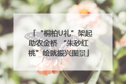 “桐柏U礼”架起助农金桥 “朱砂红桃”绘就振兴图景
