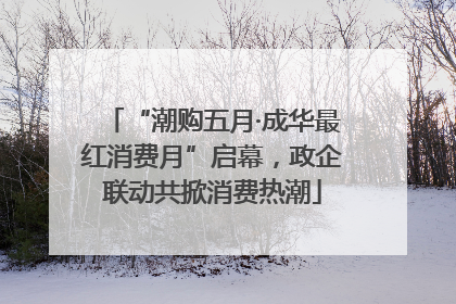 “潮购五月·成华最红消费月”启幕，政企联动共掀消费热潮
