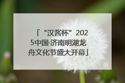 “汉酱杯”2025中国·济南明湖龙舟文化节盛大开幕