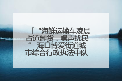 “海鲜运输车凌晨占道卸货，噪声扰民” 海口博爱街道城市综合行政执法中队：将联合交警加强长堤路一带巡逻