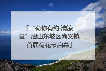 “荷你有约·清凉一夏”眉山东坡区尚义镇首届荷花节启幕