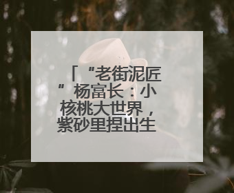 “老街泥匠”杨富长：小核桃大世界，紫砂里捏出生活味儿
