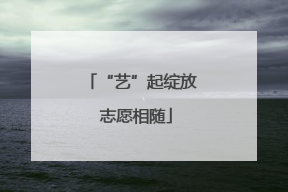 “艺”起绽放 志愿相随