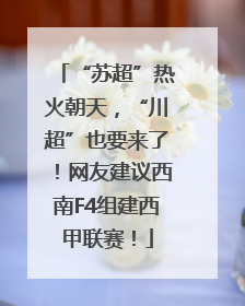 “苏超”热火朝天，“川超”也要来了！网友建议西南F4组建西甲联赛！