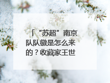 “苏超”南京队队徽是怎么来的？收藏家王世清细说源头