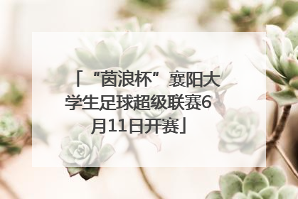 “茵浪杯”襄阳大学生足球超级联赛6月11日开赛