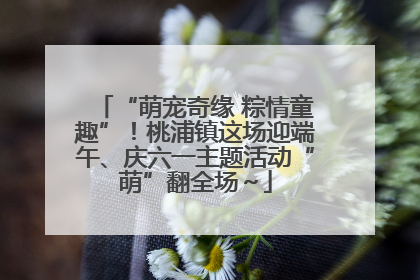 “萌宠奇缘 粽情童趣”！桃浦镇这场迎端午、庆六一主题活动“萌”翻全场～